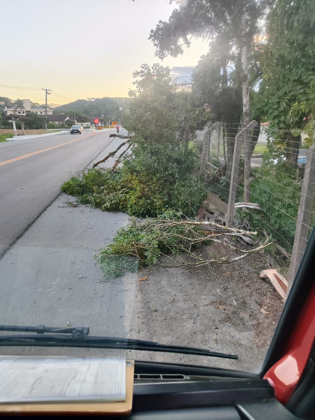Foto: Divulgação / CBVP