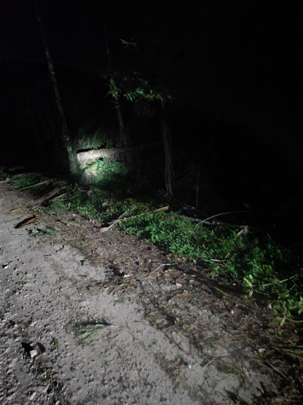 Foto: Divulgação / CBVP