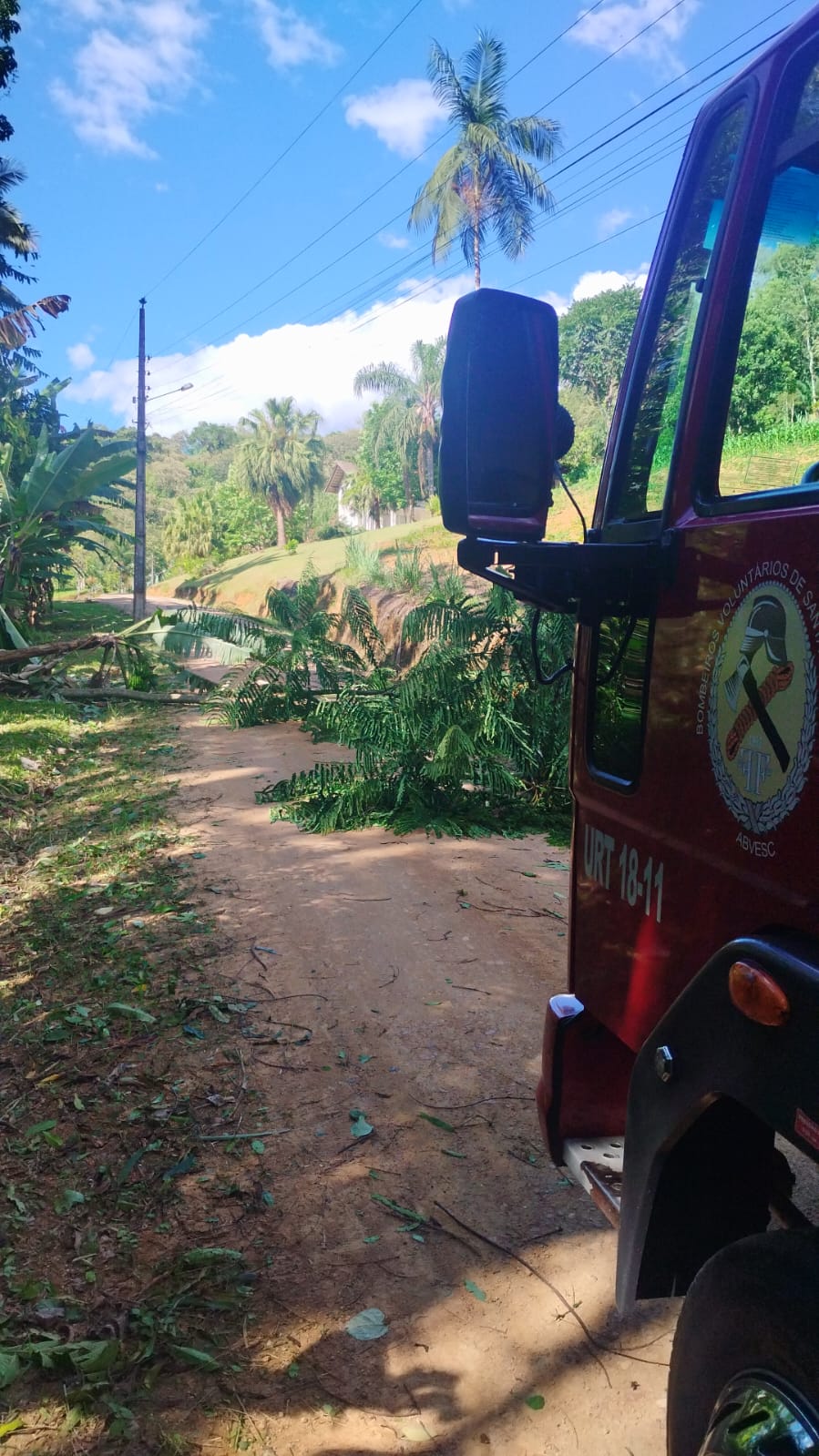 Foto: Divulgação / CBVP