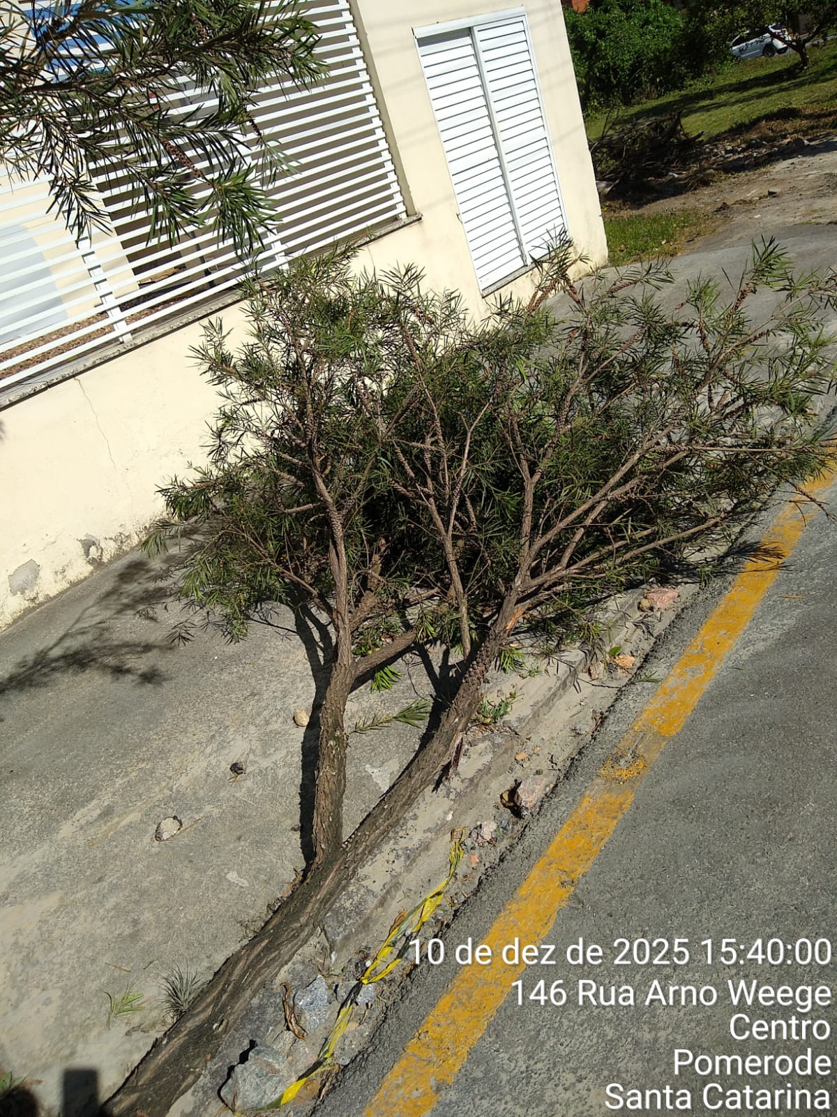 Foto: Divulgação / Getran